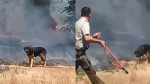 Perrito guía a policía en incendio y enternece las redes sociales