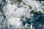 Tormenta tropical Mario y tu semana: Alertas, recetas y bienestar natural