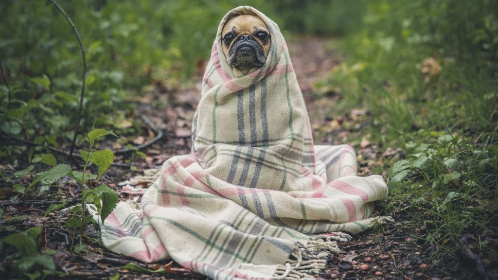 ¿Cuándo empieza el otoño en México?: Prepárate para el frío