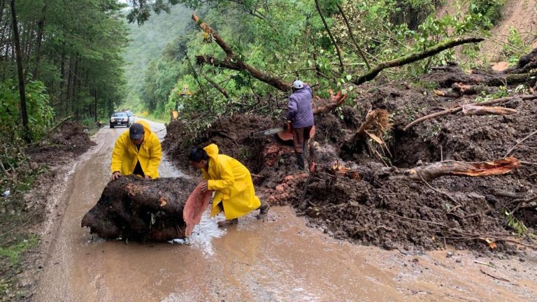 Alerta máxima en Chiapas: El frente frío 11 desata vientos e intensas lluvias