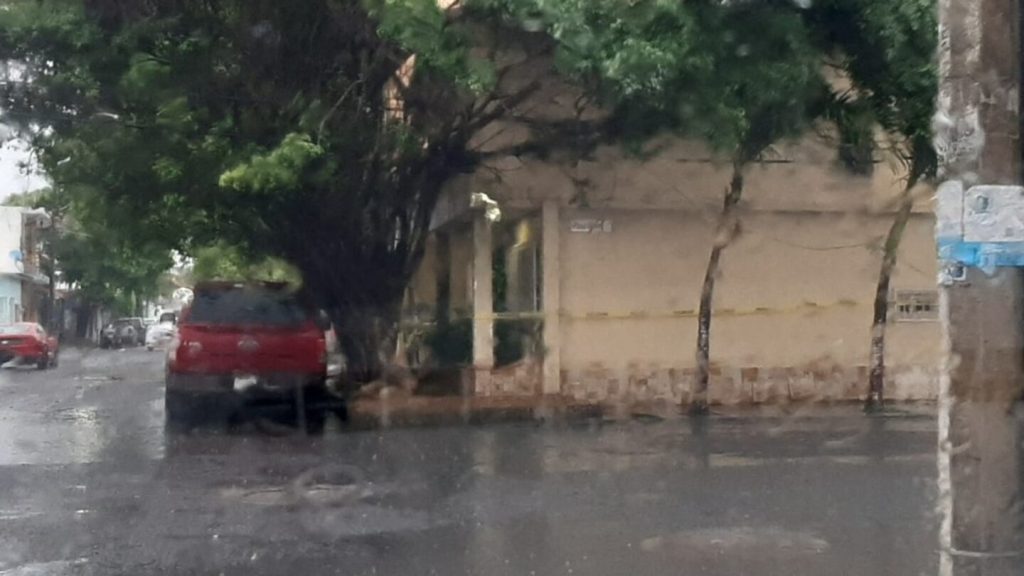 Asesinan a familia en Veracruz: Violencia azota la región