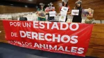 Colectivos exigen prohibir corridas de toros en Hidalgo