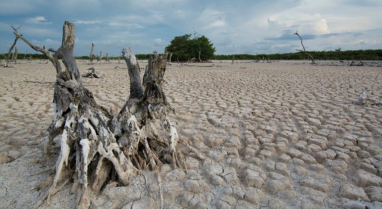 El costo de la adaptación: Crisis climática y el 35% de emisiones que busca México