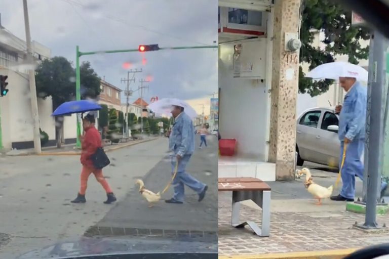 El fenómeno viral del pato con correa que paralizó Galerías Serdán