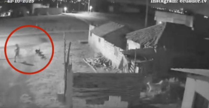 Escalofriante video- Niño fantasma desaparece ante perros en Ecuador Escalofriante video: Niño fantasma desaparece ante perros en Ecuador