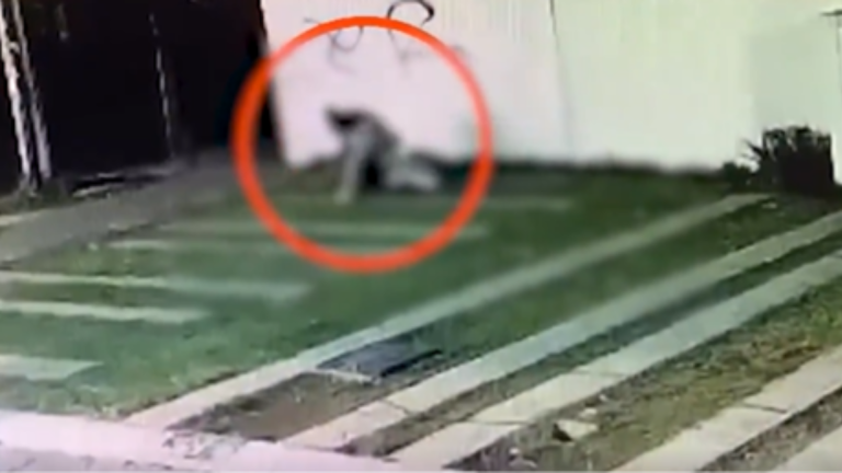 Hombre golpea brutalmente a su esposa embarazada en Tlaquepaque