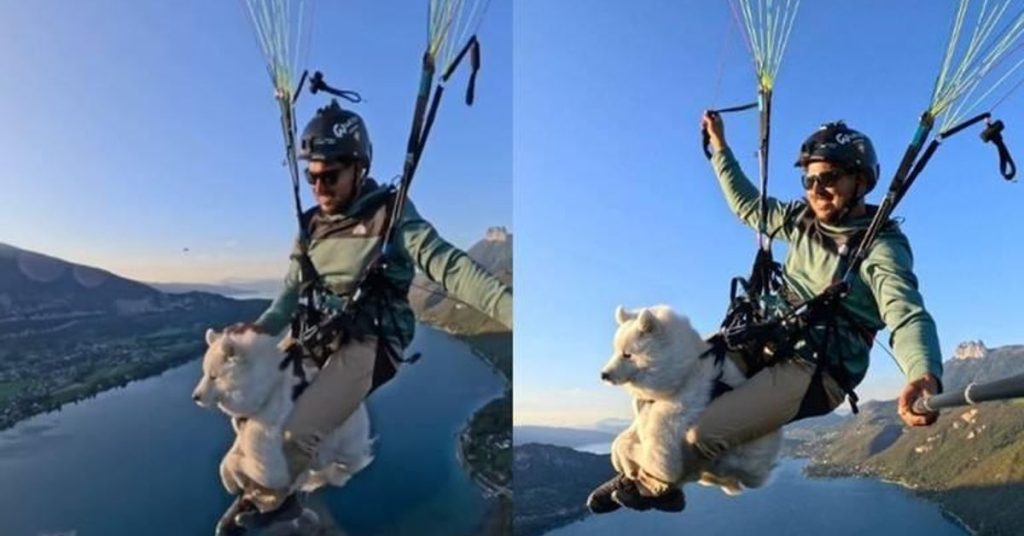 Hombre obliga a perro a volar en parapente y desata polémica viral