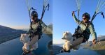 Hombre obliga a perro a volar en parapente y desata polémica viral