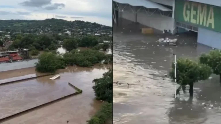 Inundaciones en Poza Rica: Niño pide auxilio desde un árbol