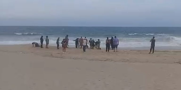 Joven ahogado en Salina Cruz: Tragedia en Playa Brasil