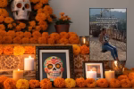 La ofrenda que nadie quiere: El trend que visibiliza la violencia de género en México