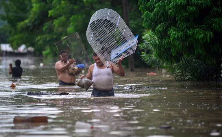 Lluvias afectan 100 mil viviendas: Sheinbaum anuncia apoyos