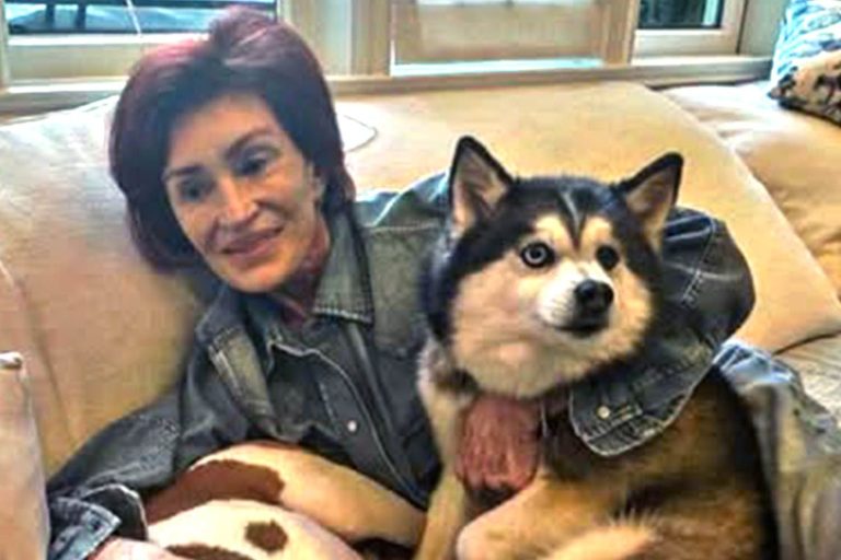 Muere el perro de Ozzy Osbourne: Devastación tras la pérdida de Elvis
