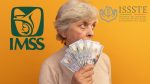 Pago de noviembre 2025: La diferencia crítica en el aguinaldo de IMSS e ISSSTE