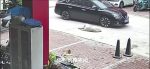 Perro sobrevive a atropello en China gracias a su obesidad
