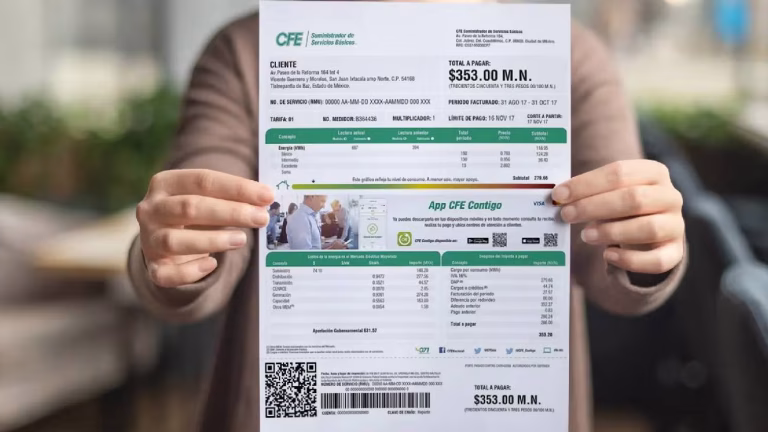 Profeco revela la lista de acciones clave para ahorrar energía en casa