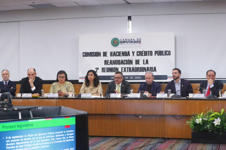 Reforma a Ley Aduanera avanza en la Cámara de Diputados