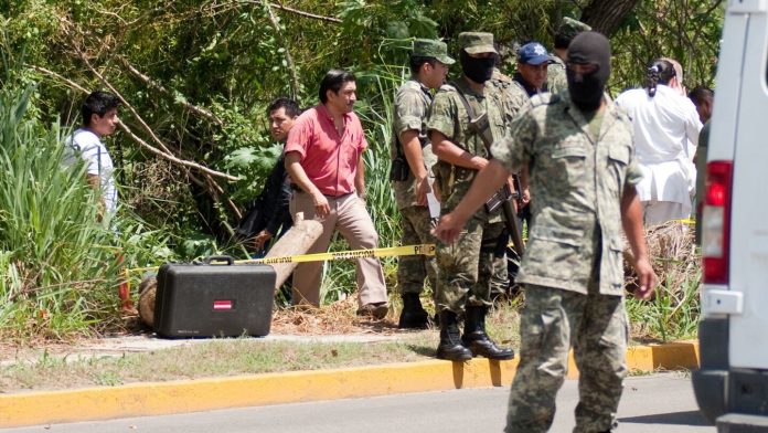 Semarnat pide apoyo a Guardia Nacional y Sedena contra tala ilegal Semarnat pide apoyo a Guardia Nacional y Sedena contra tala ilegal