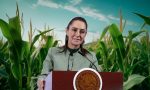 Sheinbaum acusa a líderes políticos detrás del conflicto del precio del maíz