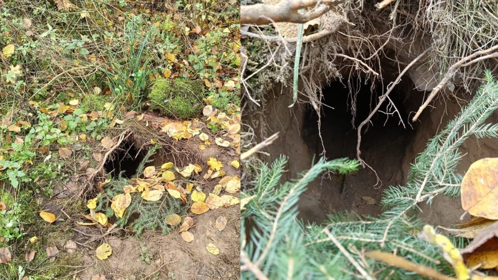 Túnel secreto descubierto en la frontera Polonia-Bielorrusia