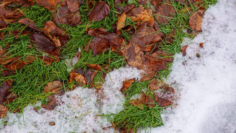 Alerta crítica: 14 estados bajo cero por el frente frío número 12 en noviembre