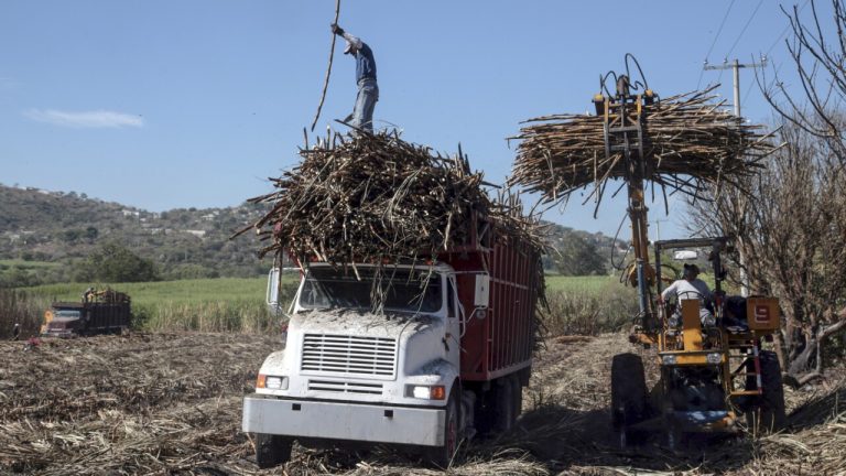Aranceles de 210% al azúcar: la estrategia de México para proteger su industria