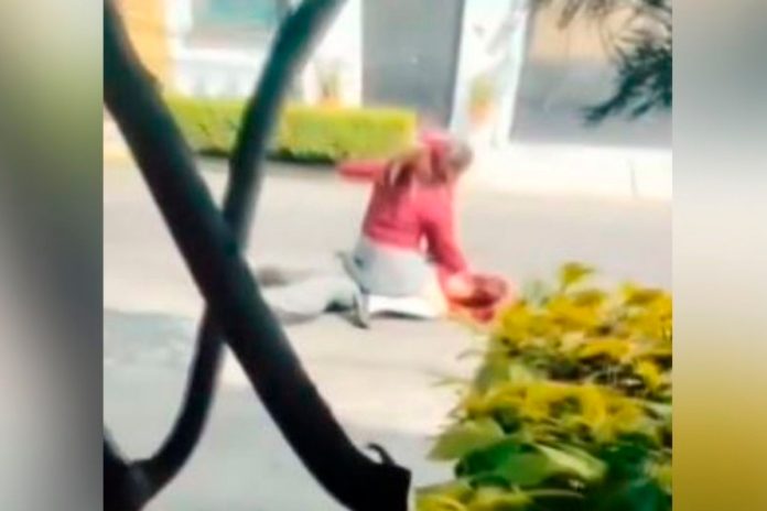 Bullying en el CETis 56: la agresión que dejó a Sisley Fernanda en silla de ruedas