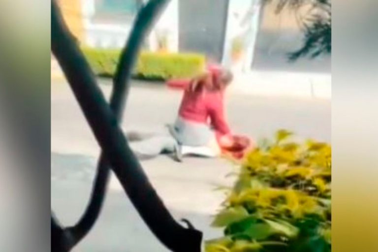 Bullying en el CETis 56: la agresión que dejó a Sisley Fernanda en silla de ruedas