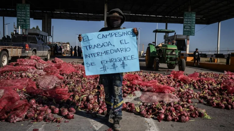 Crisis agrícola: 25 estados ante un paro nacional campesinos que amenaza aduanas