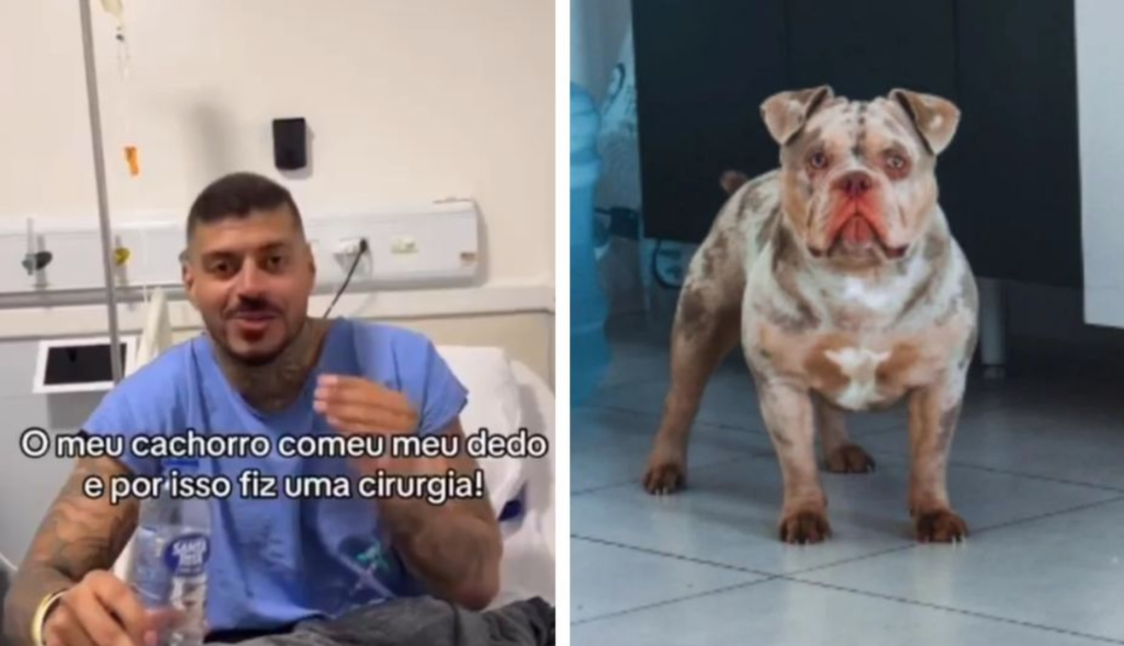 “Desperté y faltaba uno”: el bulldog que se comió el dedo de Matheus Vandré