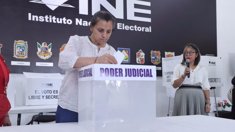 El INE revela su plataforma de consulta: ¿La verdad de las elecciones 2024-2025?