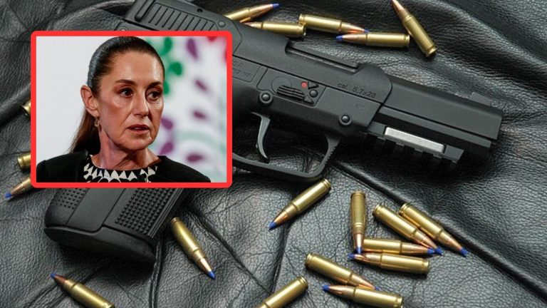 El balance de la estrategia: Más de 8 mil armas canjeadas y millones de atenciones