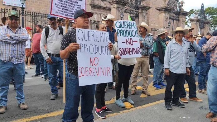 El colapso logístico del 7 de noviembre- ¿quién está detrás de los bloqueos_ El colapso logístico del 7 de noviembre: ¿quién está detrás de los bloqueos?