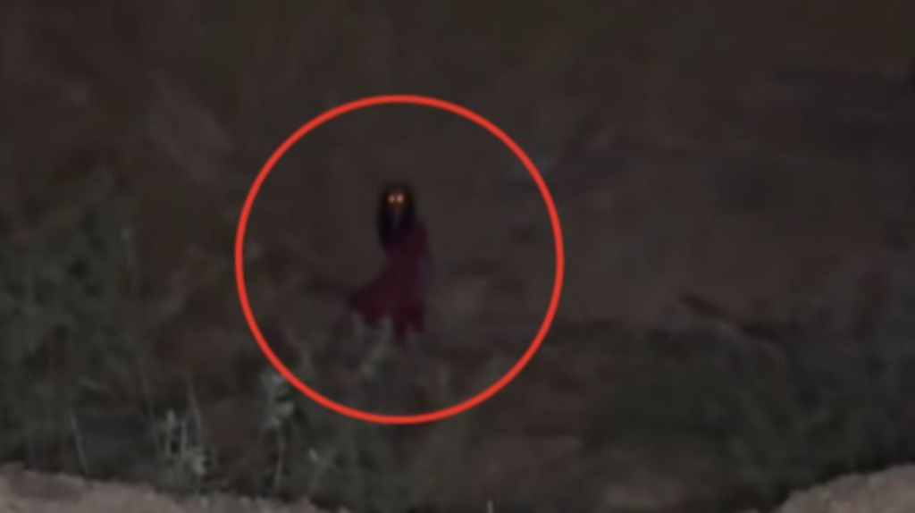 El grito de la madrugada: captan extraña figura que aterroriza Tlajomulco