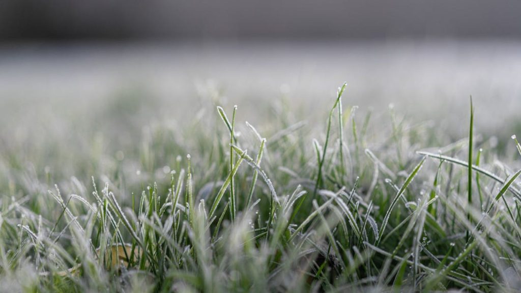 El impacto del frente frío 16: alertan por heladas de hasta -10 grados en México