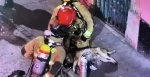 Hazaña en Medellín: el dramático rescate de un perrito inconsciente por bomberos