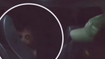 La aparición que estremece a tiktok: ¿un demonio captado en video de terror viral?