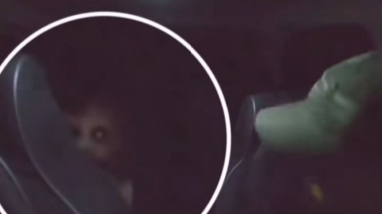 La aparición que estremece a tiktok: ¿un demonio captado en video de terror viral?