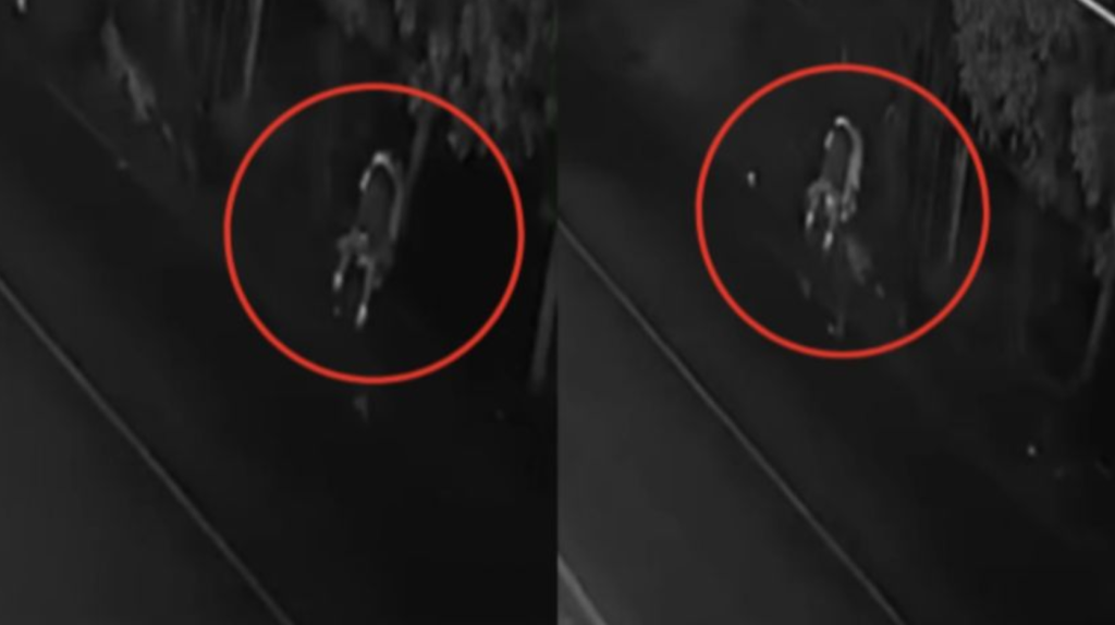 La desgarradora historia del padre que desenterró a su hijo adolescente