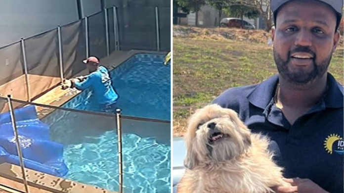 Se lo quitó a la muerte: El limpiador de piscinas que salvó a un perrito ciego