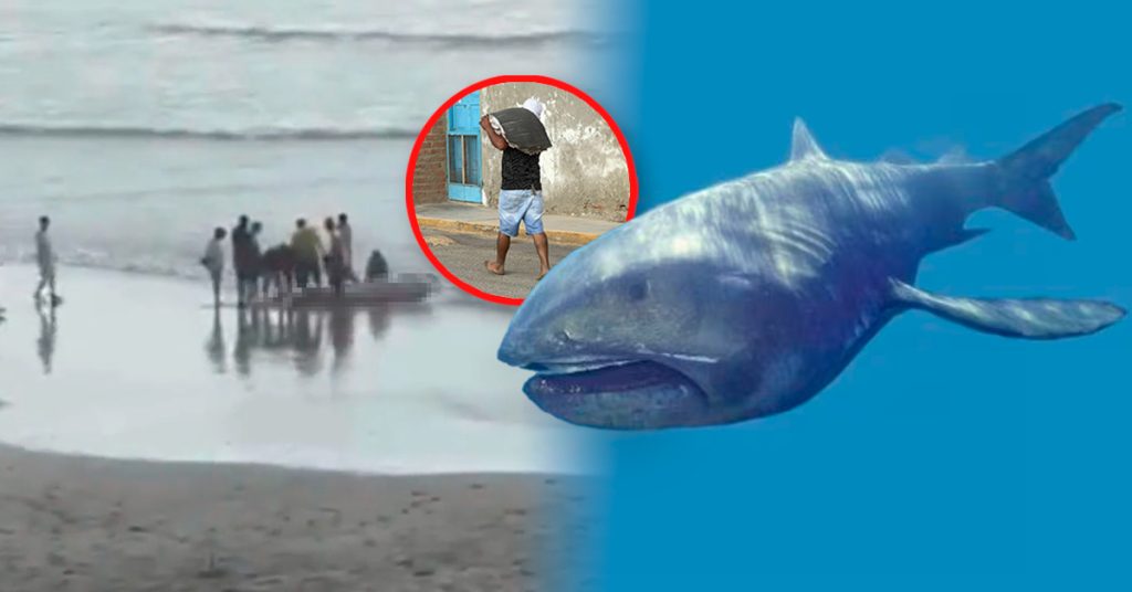 Tiburón megaboca hallado vivo en Perú fue fileteado antes del estudio científico