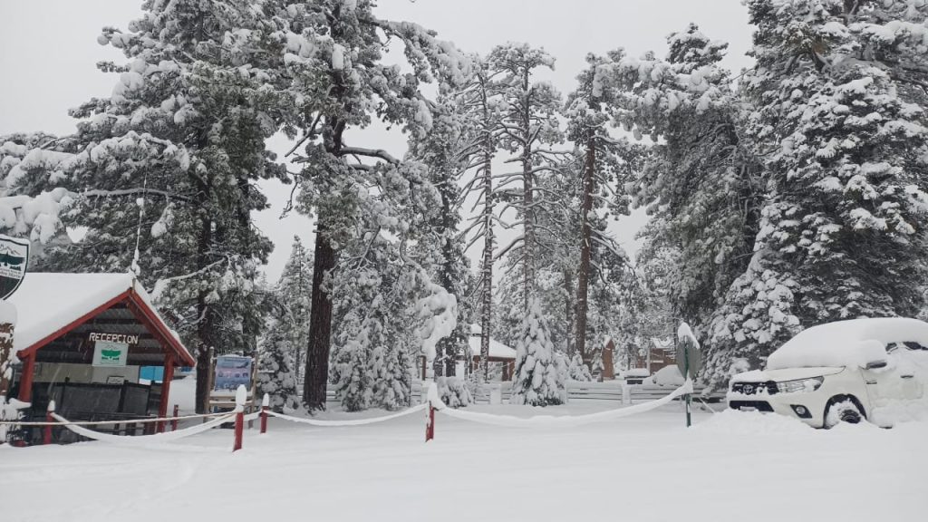 Tormenta invernal Alston: siete estados de Estados Unidos bajo alerta máxima