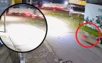 Tragedia en Portão: Menor de 9 años arrollado por un tráiler en Brasil