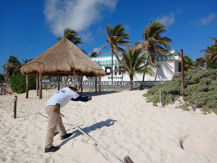 Fundación Eco-Bahía presenta resultados preliminares de una de sus temporadas más exitosas de conservación de tortugas marinas Fundación Eco-Bahía presenta resultados preliminares de una de sus temporadas más exitosas de conservación de tortugas marinas