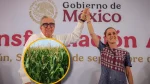 Sheinbaum exhibe a Maseca y Cargill: La exigencia del precio justo por el maíz