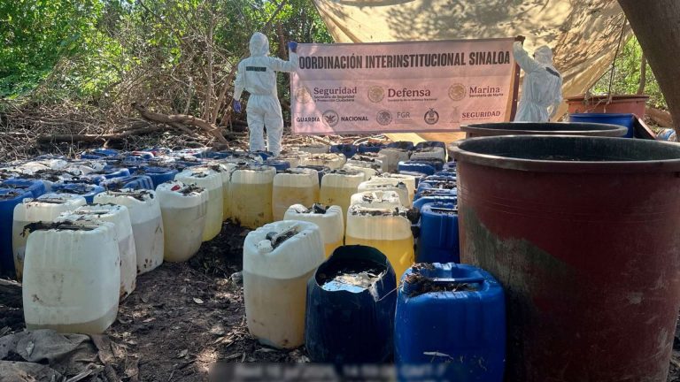 Golpe millonario al narco: Desmantelan laboratorio de metanfetamina en Sinaloa