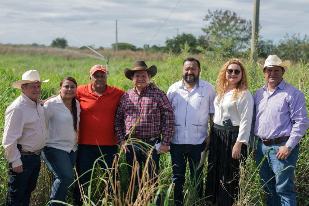 Gobierno de Yucatán fortalece el campo de Dzilam González con sistemas de riego solar