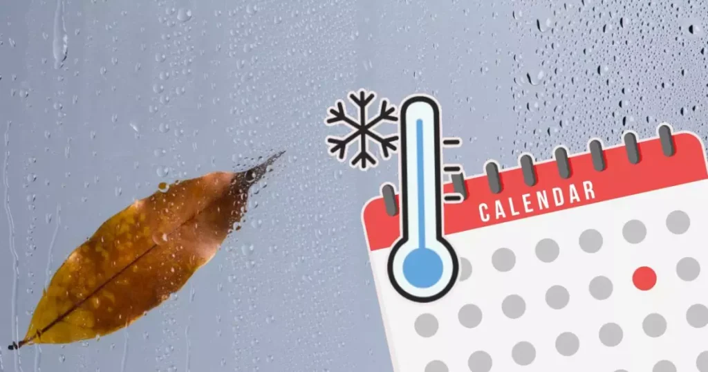 Alerta de frío extremo: Baja California enfrentará temperaturas de hasta -5 grados