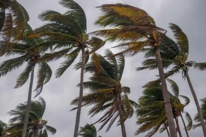 El clima golpea el 55% de la capacidad náutica: cierran puertos en Quintana Roo El clima golpea el 55% de la capacidad náutica: cierran puertos en Quintana Roo