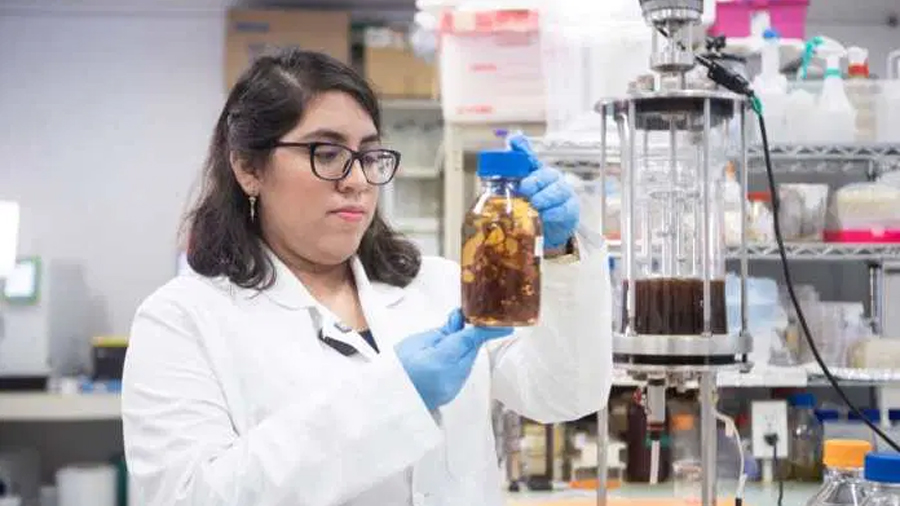 El impacto masivo del primer año de la política científica en Yucatán